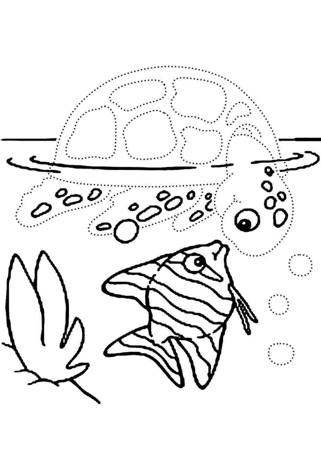 Точка обитатель. Раскраска морские обитатели. Раскраска морские обитате. Морские обитатели раскраска для детей. Раскраска "морские жители".