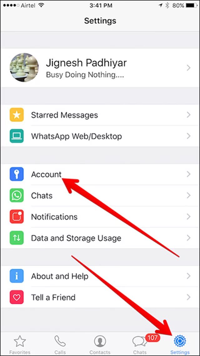 Поставить фото в статусе WhatsApp на Iphone.