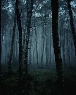 Жудкая или жуткая