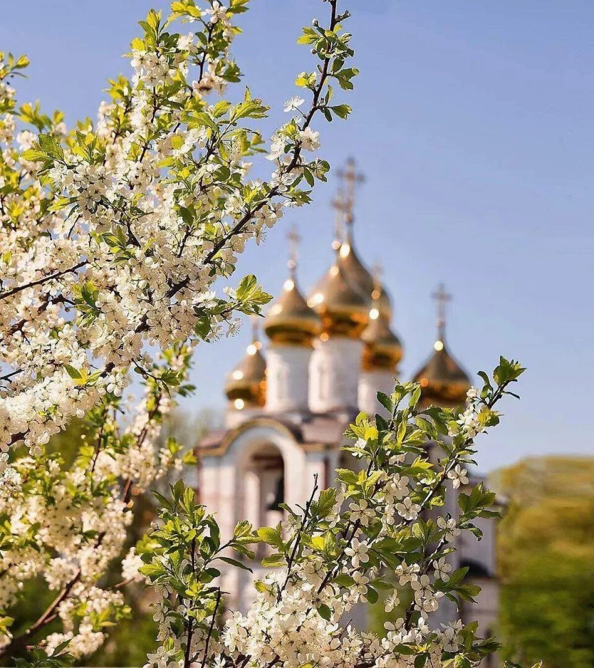 Доброе утро картинки православные весенние. Христос Воскресе Дивеево. Церковь весной.