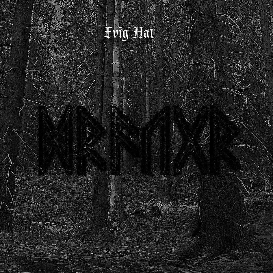Wasting my hate