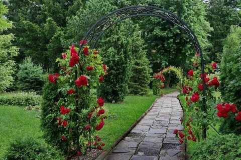 Арка для роз