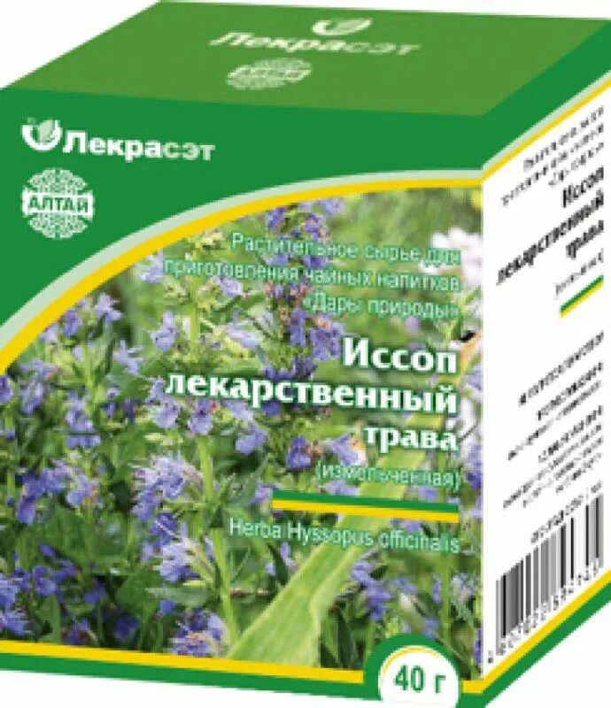 Иссоп лекарственный трава. Иссоп дачный лекарь, смесь. Трава иссоп дикий. Лекарственные травы в аптеке. Иссоп лекарственный противопоказания