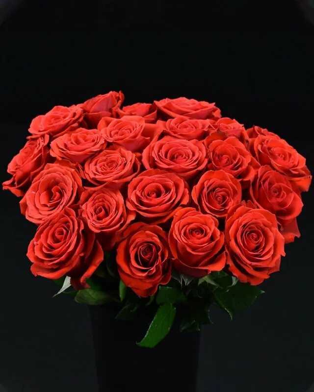 Раза "NINA", Flowers & Gifts Belogorsk, buy at a price of 320 RUB, By the Piece 