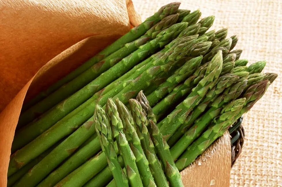 Спаржа из чего. Спаржа Аржентельская. Аспарагус спаржа. Спаржа (Asparagus officinalis)..