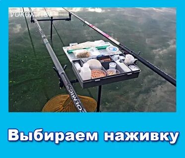Место для приманки