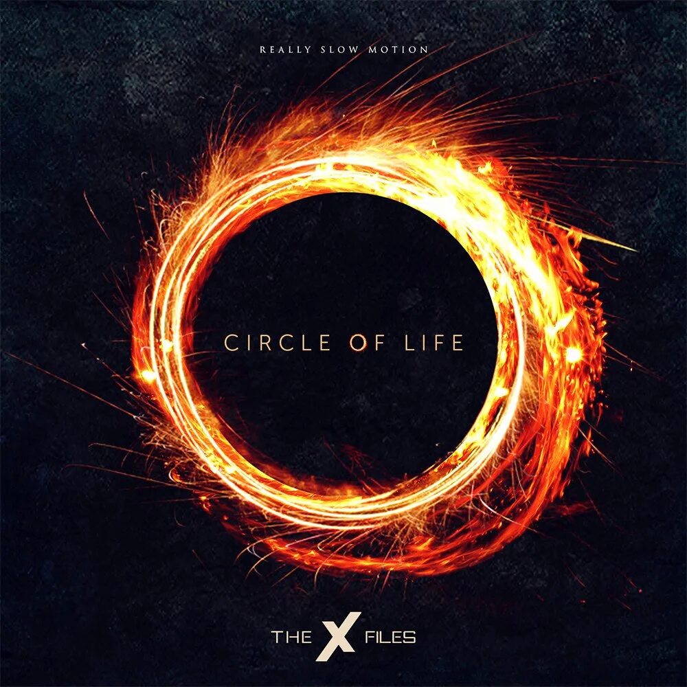 Life is circle. Circle of Life. "The circle of Life" - круг жизни.. Circle of Life исполнители. Really Slow Motion группа.