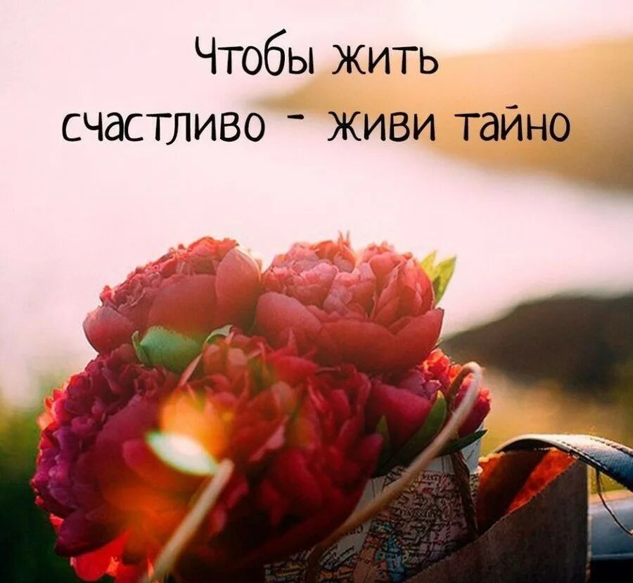 Красивые цитаты со смыслом. Красивые цитаты. Красивые фразы. Цитаты со смыслом. Красивые афоризмы.