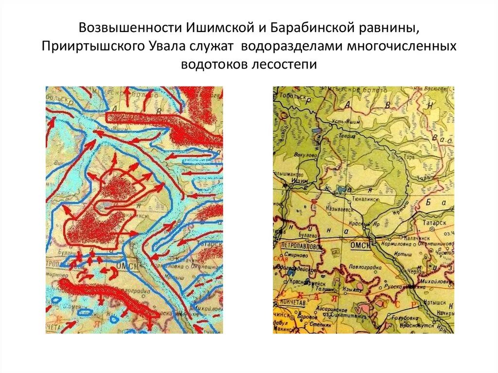 Прииртышская равнина на карте Западной Сибири. Ишимская равнина и Барабинская низменность. Ишимская равнина Барабинская. Барабинская низменность на карте.