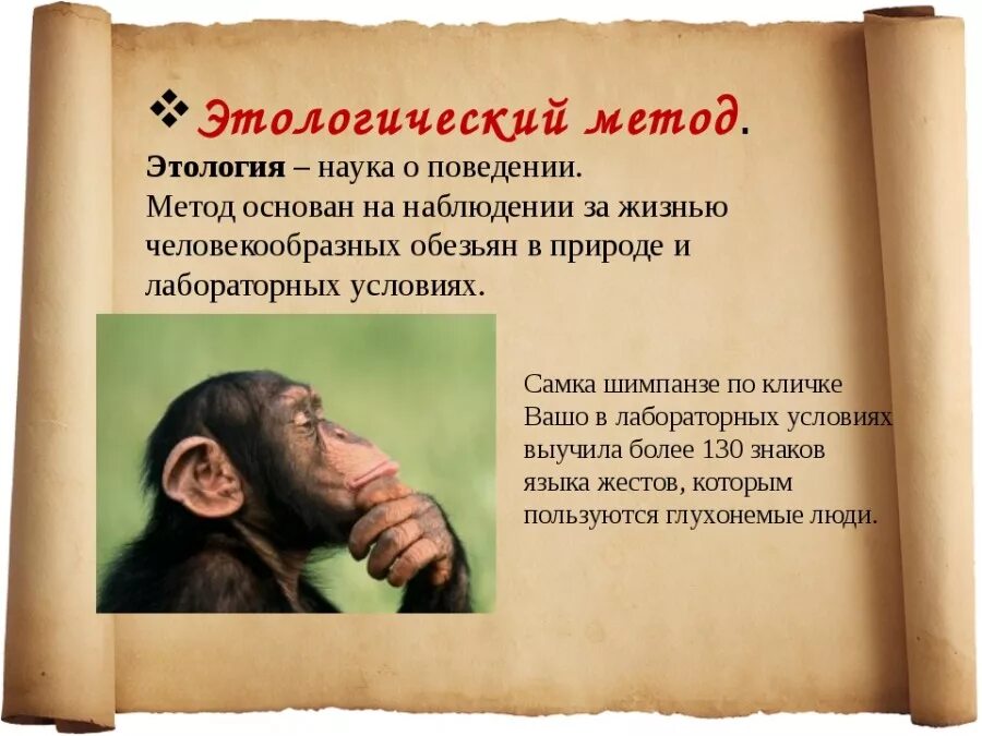 Наука изучающая поведение животных. Этология это наука о. наука о поведении животных. этология человека. поведение человека и животных.