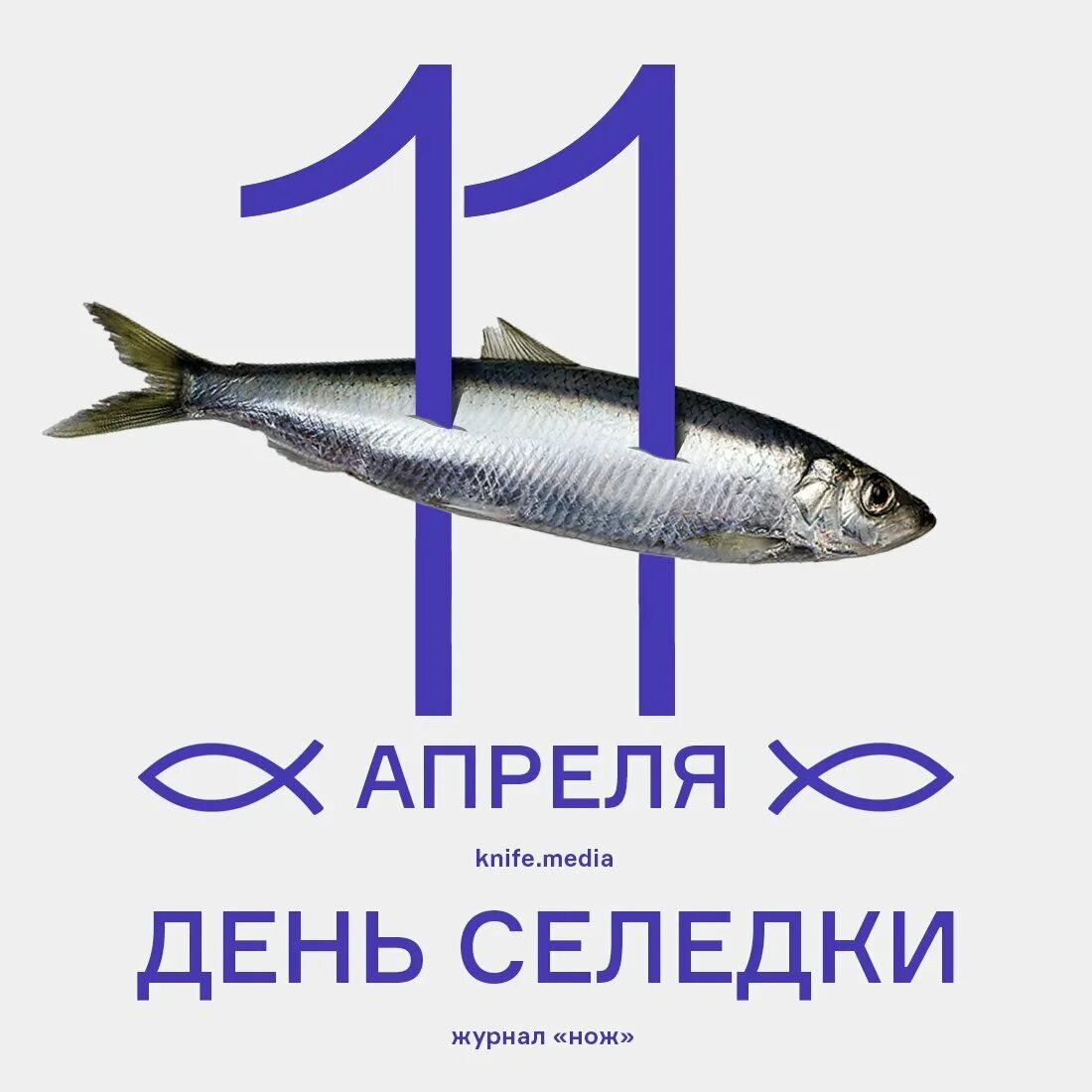 сельдь надпись. слово сельдь. сельдь прикол. сельдь атлантическая слабосоленая крупная. слово сельдь.