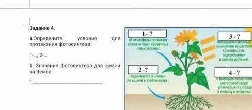 Условия протекания фотосинтеза. Задание по теме фотосинтез. Задачи на фотосинтез. С4 фотосинтез схема. Тест по теме фотосинтез дыхание 6 класс