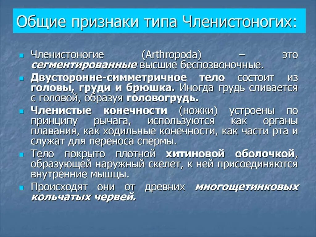 3 признака членистоногих. Признаки членистоногих. Общие признаки членистоногих. Признаки типа Членистоногие. Признаки типа Arthropoda.