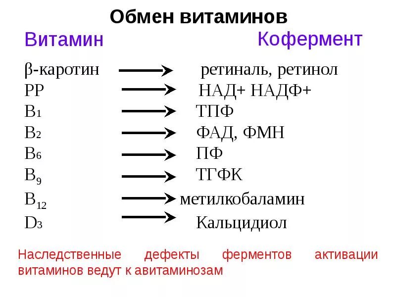 Обмен витаминов биохимия