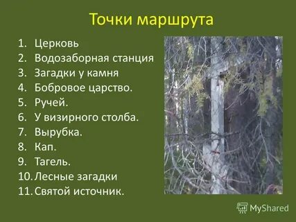 Точки ручьи