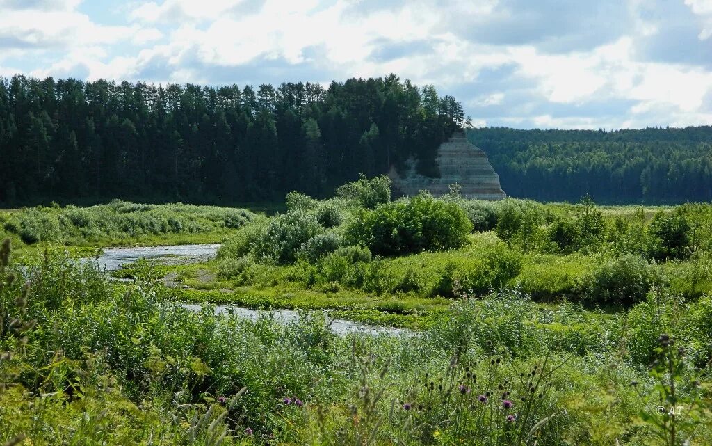 Ландшафт европейской части россии. Река верхняя ерга. Река ёрга Архангельская область. Река верхняя ерга Вологодская область. Река Тутаулка.