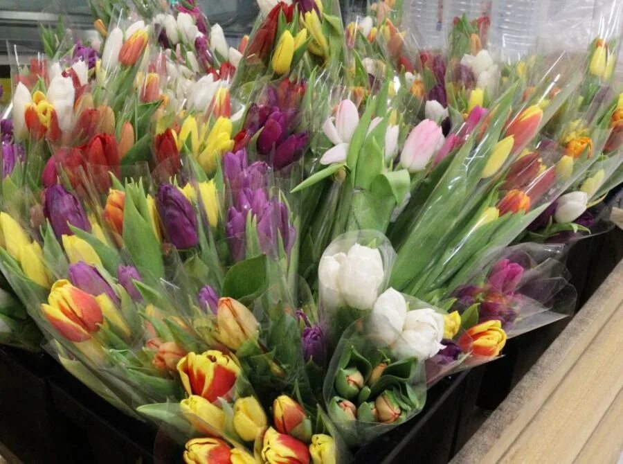 Сколько продают тюльпаны. Цветы долго стоят. Март тюльпаны. Свежие тюльпаны.