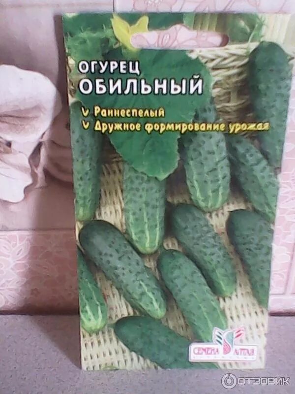 Огурцы обильный отзывы фото. Огурцы обильный отзывы фото. Огурец обильный фото. Огурцы обильный отзывы фото. Огурец "китайский змей" 0,5г б/п с евроотв.
