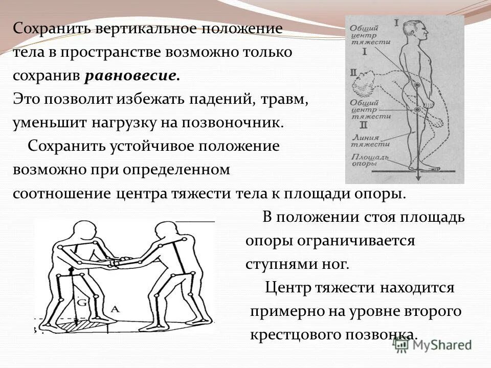 Ощущения сигнализирующие о положении тела в пространстве. Что такое тело отсчета система отсчета. Определение положения тела в пространстве. Три случая взаимного расположения прямой и плоскости в пространстве. Изобразите взаимное расположение прямой и плоскости в пространстве.