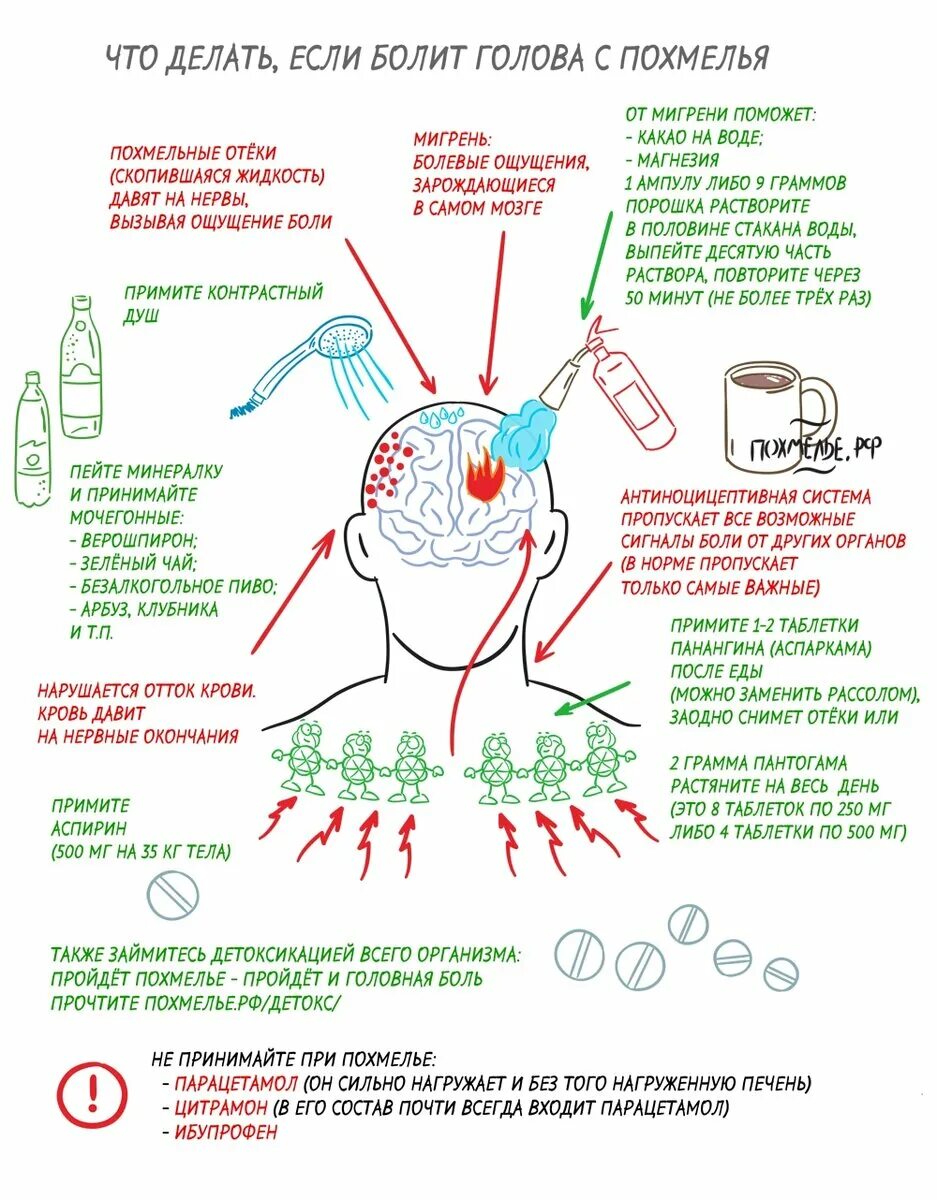 Как снять похмельный синдром в домашних условиях. Головная боль с похмелья. Жутко болит голова с похмелья. Чтобы голова не болела с похмелья. Голова болит с похмелья картинки.