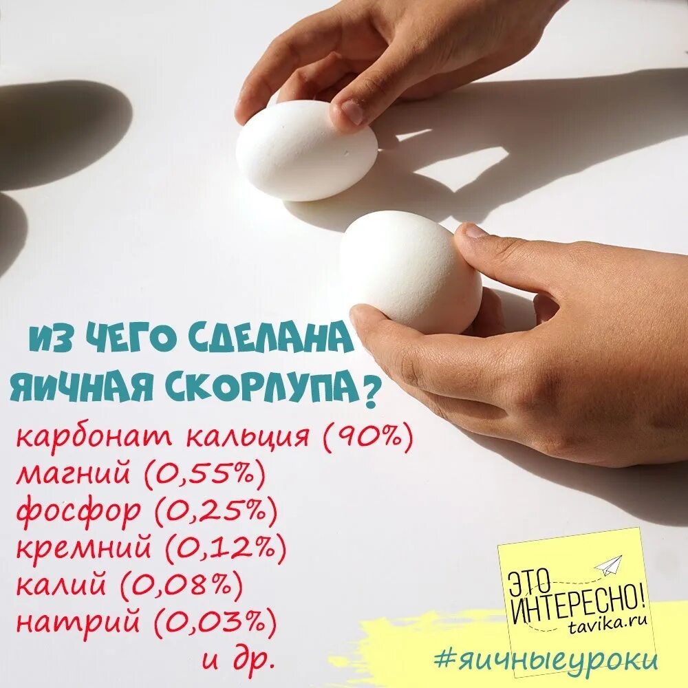 Яичная скорлупа как кальций как принимать. В яичной скорлупе содержится кальций. кальций на яичной скорлупе. состав скорлупы яйца. сколько кальция в яичной скорлупе.