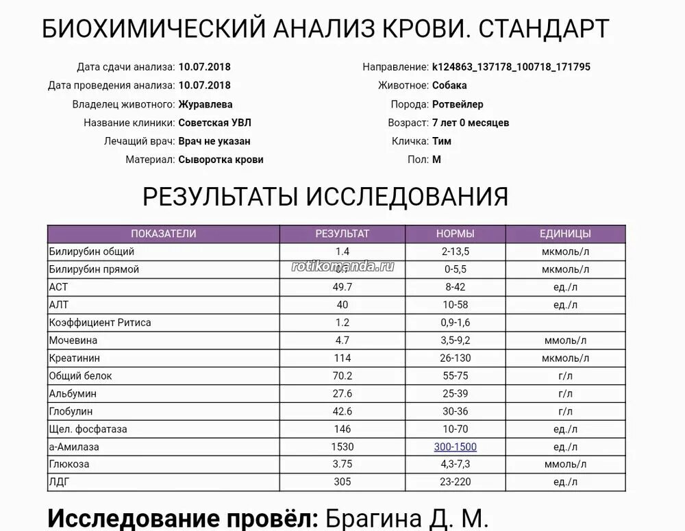 Анализ биохимия зачем. Показатели крови биохимия, кальций. биохимический анализ норма кальция. стандарт показатели биохимического анализа крови человека. биохимический анализ крови кальций норма.