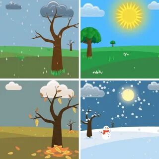 Seasons quiz