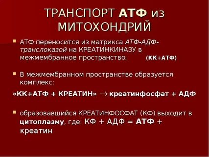 Атф и адф