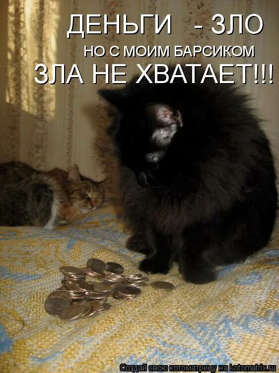 не плачь потому что это закончилось улыбнись потому что это было. не хватает я плакал. не хватает я плакал. смешные котики с надписями. дорогая мне тебя не хватает давай.