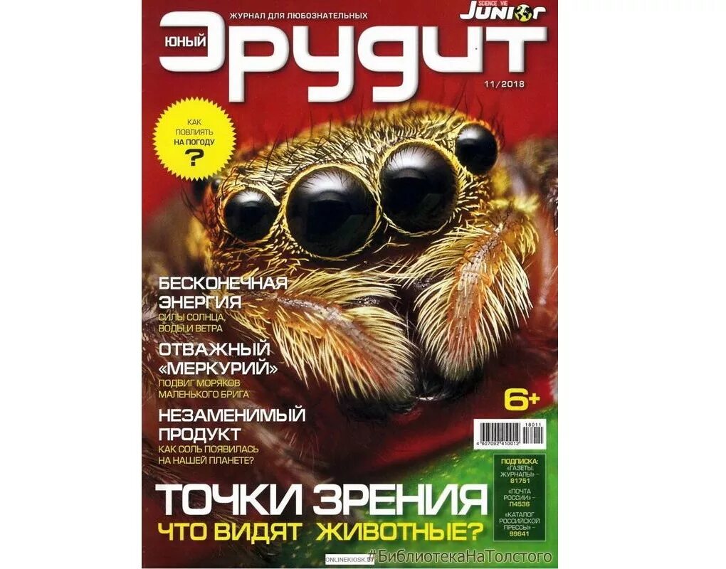 Научно популярный журнал для детей. Обложка журнала думай. Журнал думай 2020. Научно популярный журнал для детей. Научно-популярные журналы юный эрудит.