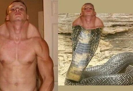 Люди с большими телами