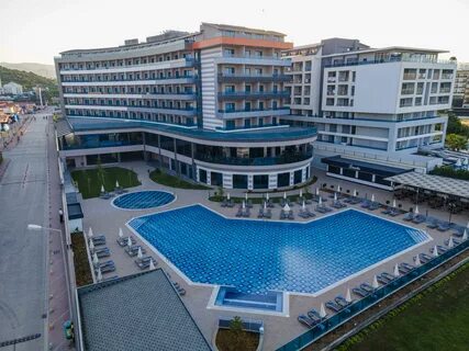 Lonicera city отзывы