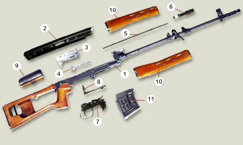 62. Разбор винтовки. Сок-95 вепрь-308. 62. Снайперская винтовка свд конструкции драгунова.