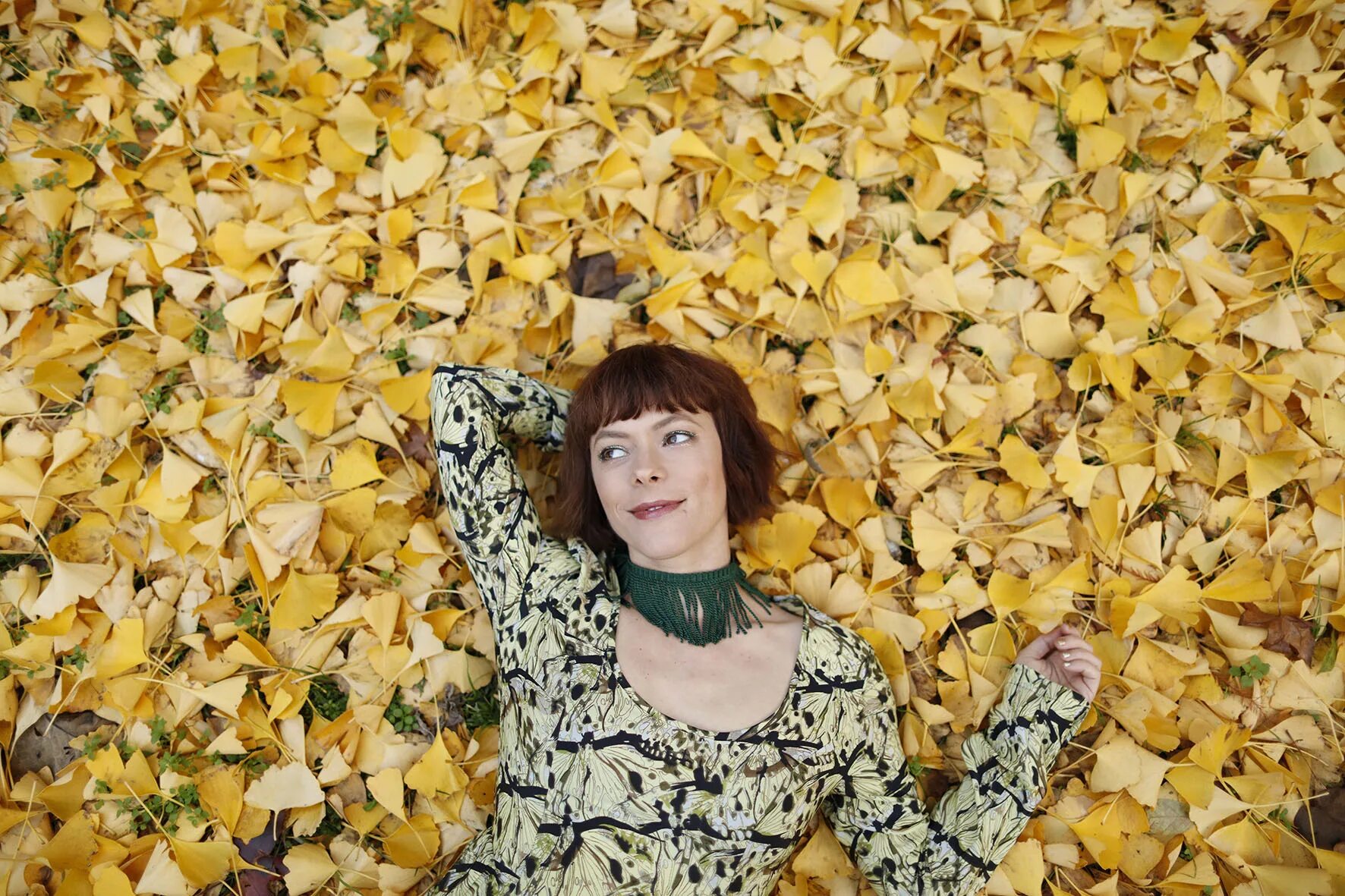 Ленка певица. Lenka singer. lenka вики. lenka 2008. ленка крипач чародей.