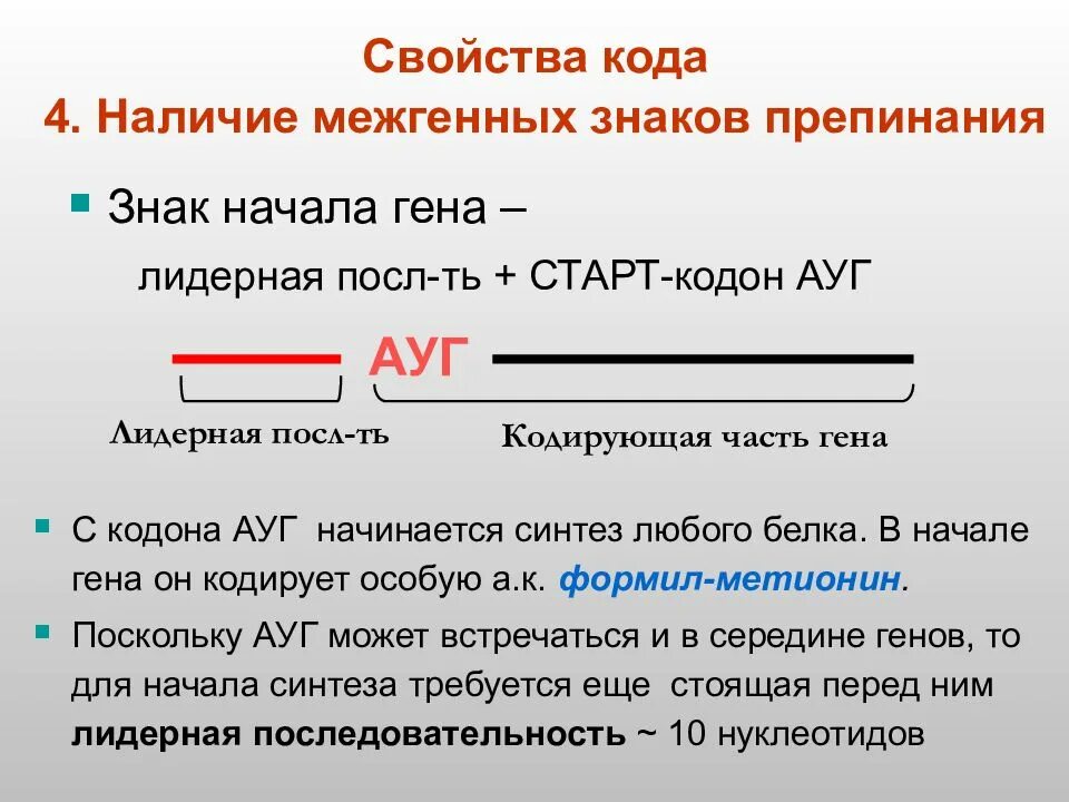 Начинается со старт кодона