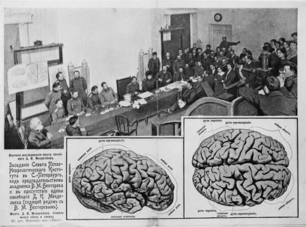 Головной мозг бехтерева. Институт изучения мозга Ленина. Пантеон мозга. Мозг Ленина в институте мозга.