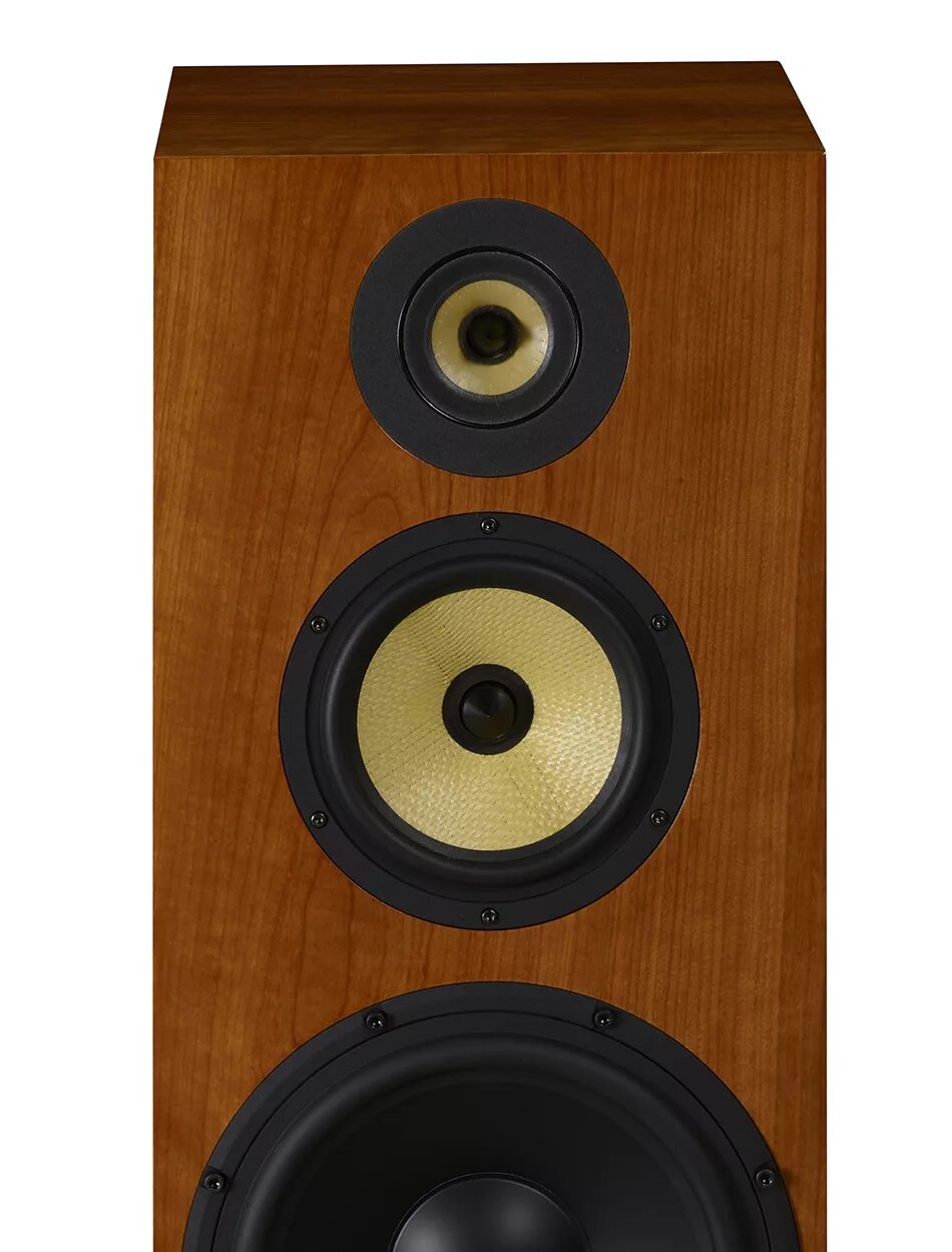 Davis acoustics balthus. Акустика davis acoustics. акустика davis acoustics illusion set 5 0. davis acoustics cesar. davis acoustics balthus 90.