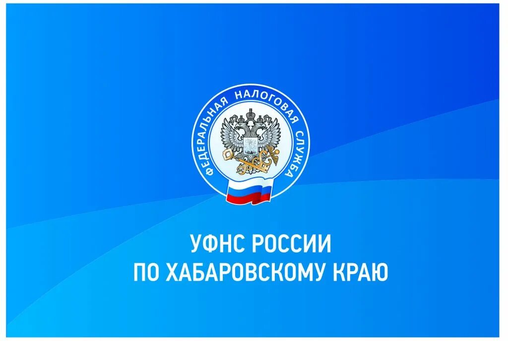 номер налоговой инспекции горячая линия. часто задаваемые вопросы фнс. приём граждан в налоговых инспекциях. фнс поддержка телефон. фнс поддержка телефон.