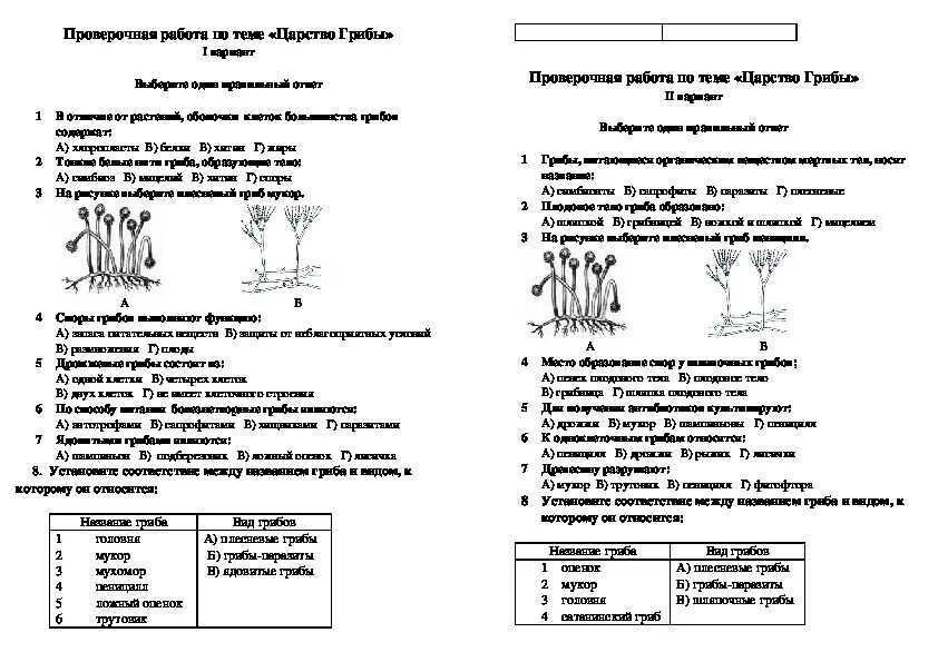 Контрольная работа по биологии 5 класс тема грибы. Контрольная работа по биологии пятый класс грибы. Тест грибы 5 класс Пономарева. Царство грибы 5 класс биология тест.