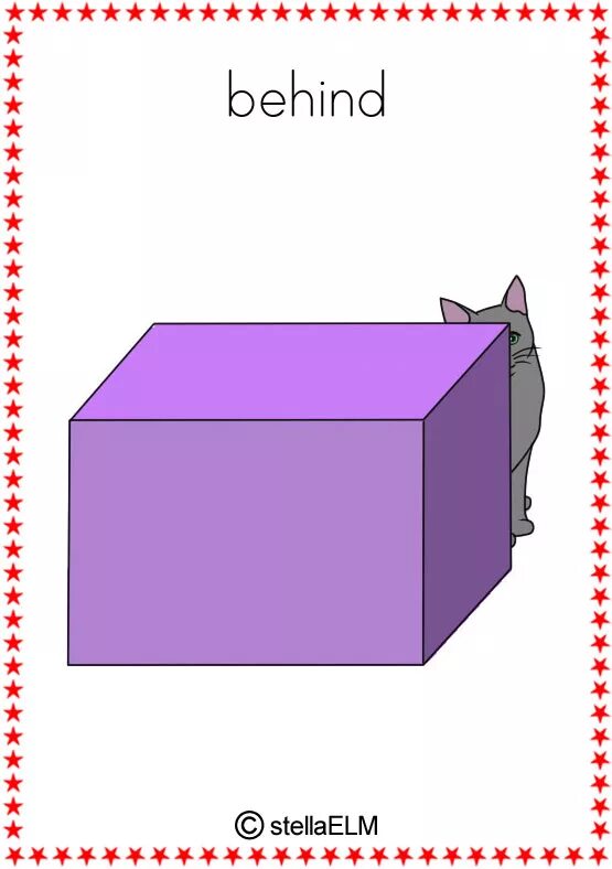 Where are the box boxes