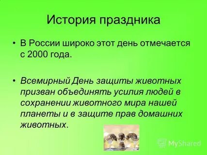 Человек дня рассказ