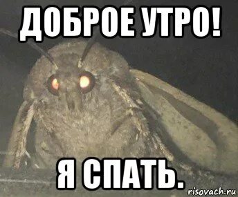 Это будет спать
