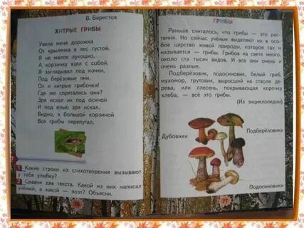 Жанр текста грибы 2 класс