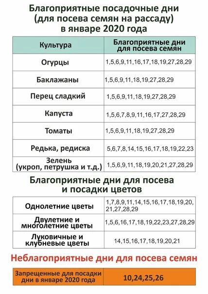 Январь дни посадки. Благоприятные дни для посадки семян на рассаду. Благоприятные дни для посева семян. Календарь посева семян на рассаду в 2020 году. Благоприятные дни для посадки рассады в январе.