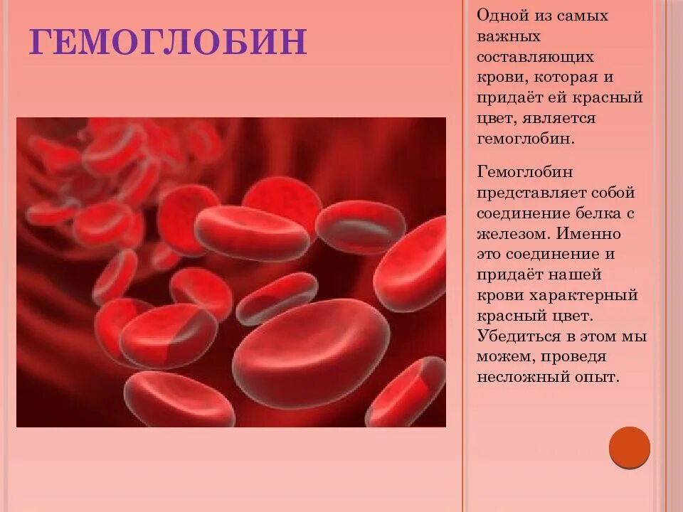 Яркий цвет крови. Почему кровь красная. Что придает крови красный цвет. Гемоглобин в крови. Почему кровь красного цвета.