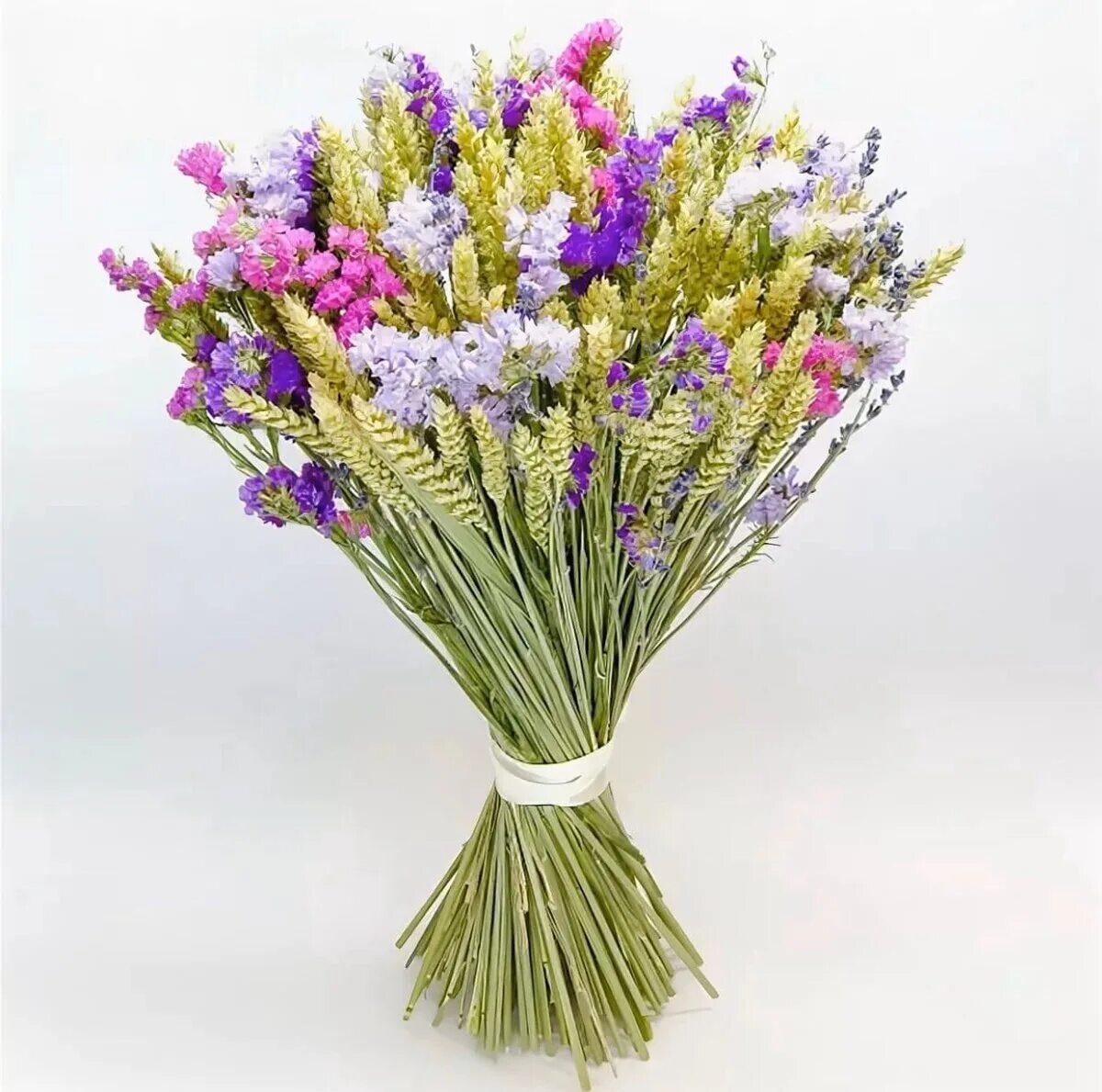 цветы которые долго стоят сухоцветы. лимониум cухоцвет. цветы которые долго стоят сухоцветы. лиатрис сухоцвет. бовардия сухоцвет.