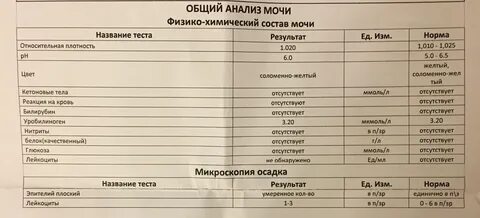 Лейкоциты 6 в моче у девочки