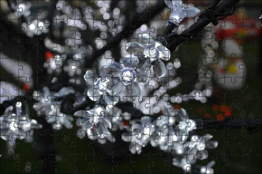 Р 205 белый цветок эвоглосс. Красивый белый. Белые цветы и их называние. Нежные орхидеи на белом фоне. Свадебный букет невесты из ландышей.