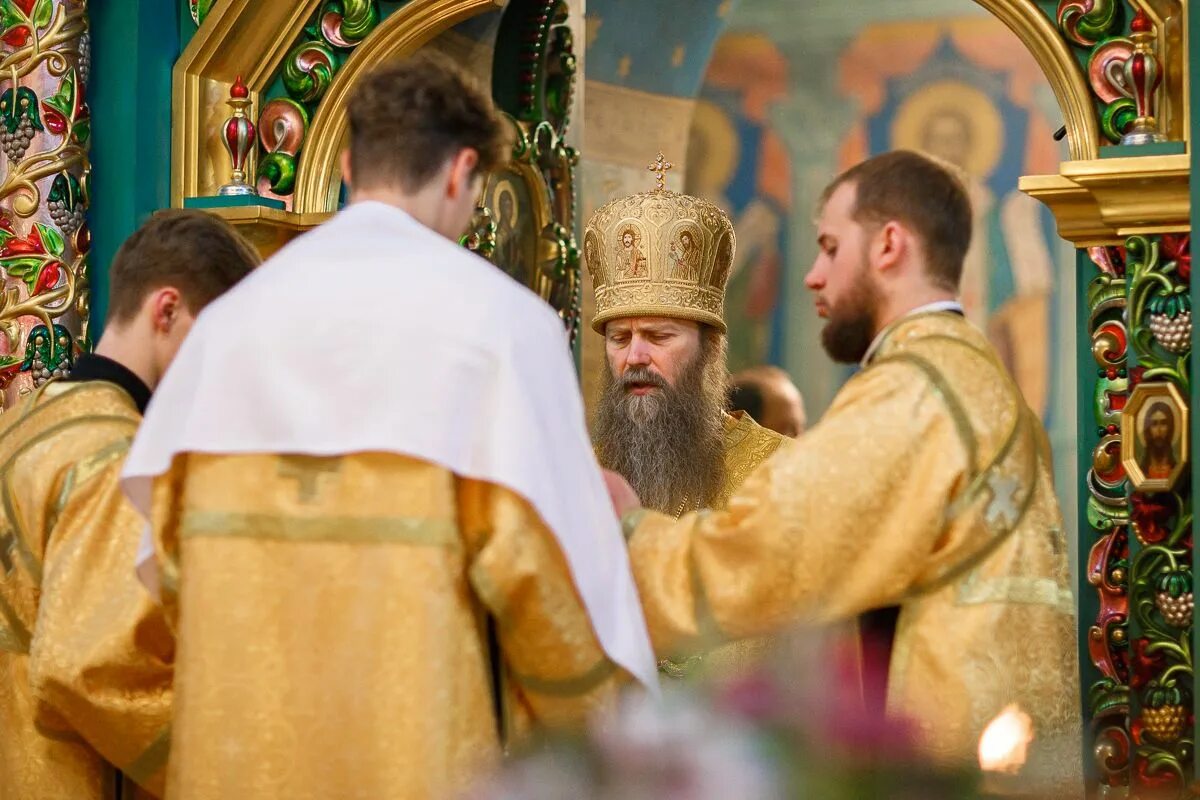 Епископ Силуан Павлово-Посадский. Епископ Силуан. Владыка Силуан. Епископ Силуан 2016-х. Силуан павлово посадский