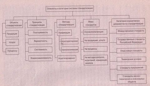 Основные элементы категории